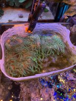 IMG_4343.jpeg