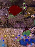 IMG_4342.jpeg