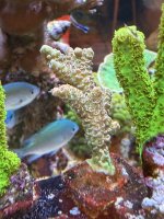 IMG_4344.jpeg