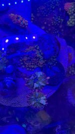 IMG_1083.jpeg