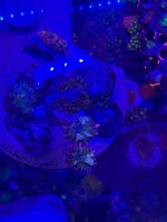 IMG_1084.jpeg