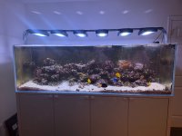 IMG_9619.jpeg