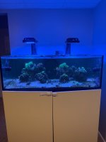IMG_9620.jpeg
