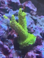 IMG_9601.jpeg
