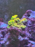 IMG_9602.jpeg