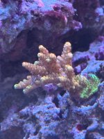 IMG_9603.jpeg
