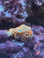 IMG_9604.jpeg