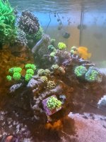 IMG_9608 (1).jpeg