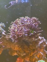 IMG_9610 (1).jpeg