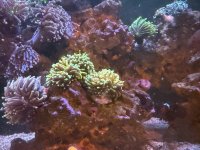 IMG_9615 (1).jpeg