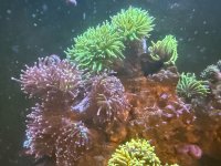 IMG_9616 (1).jpeg