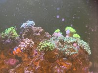IMG_9617.jpeg