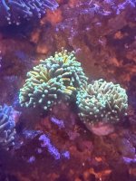 IMG_9570.jpeg