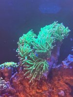 IMG_9567.jpeg