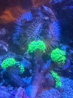 IMG_9568.jpeg