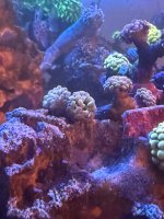 IMG_9569.jpeg