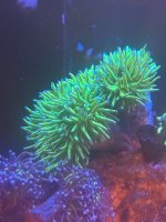 IMG_9573.jpeg
