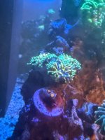 IMG_9574.jpeg