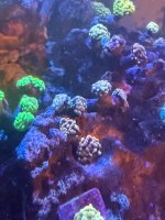 IMG_9576.jpeg