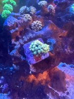 IMG_9577.jpeg