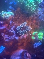 IMG_9578.jpeg