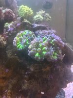 IMG_9621.jpeg