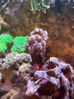 IMG_9622.jpeg