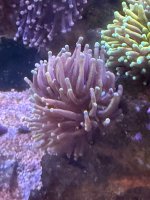 IMG_9623.jpeg