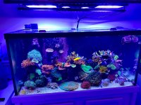 IMG_5942.jpeg