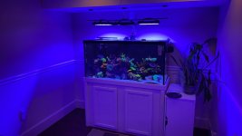 IMG_0027.jpeg