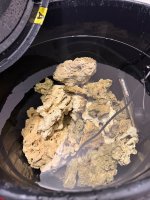 IMG_0888.jpeg