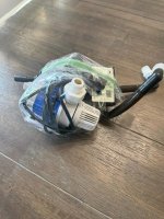 IMG_2509.jpeg