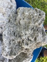 IMG_0566.jpeg