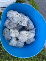 IMG_0564.jpeg