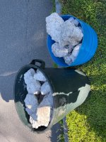 IMG_0565.jpeg