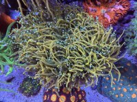 IMG_3486.jpeg