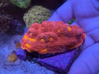 IMG_3492.jpeg
