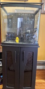 IMG_2671.jpeg