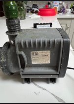 IMG_2664.jpeg