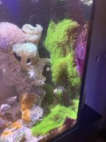 IMG_4429.jpeg