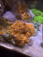 IMG_4434.jpeg