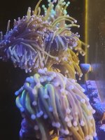 20260722_083659.jpg