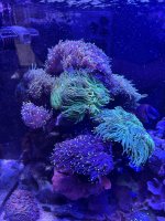 IMG_3587.jpeg