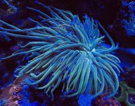 IMG_4638.jpeg