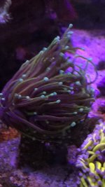 IMG_3662.jpeg