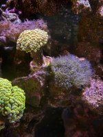 IMG_0873.jpeg