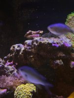 IMG_0874.jpeg