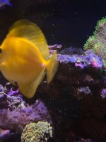 IMG_0875.jpeg