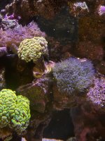 IMG_0876.jpeg