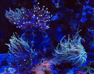 IMG_4637.jpeg